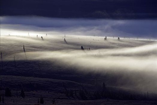 雪,吹,风景,德纳里峰国家公园,阿拉斯加,美国