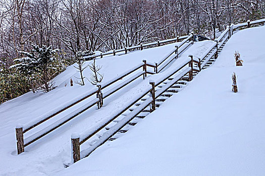 日本北海道