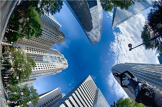 金融,摩天大楼,北卡罗来纳,美国