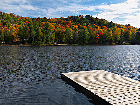 湖,秋天,阿尔冈金,安大略省,加拿大