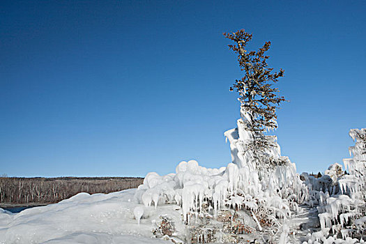 冰,树,蓝天,桑德贝,安大略省,加拿大