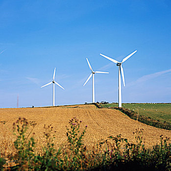 风轮机,机器,能量,风,机械,结果,风景,天气,安格尔西岛,完美,位置,涡轮,风电场,风能,清洁能源