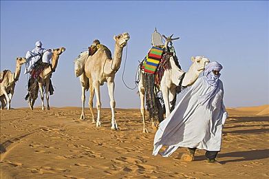 撒哈拉沙漠的柏柏尔人图片
