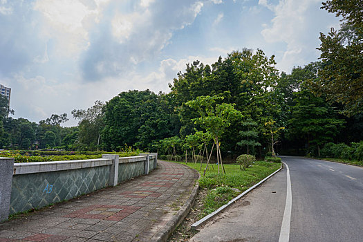 广东省林业科学研究院广东林木园