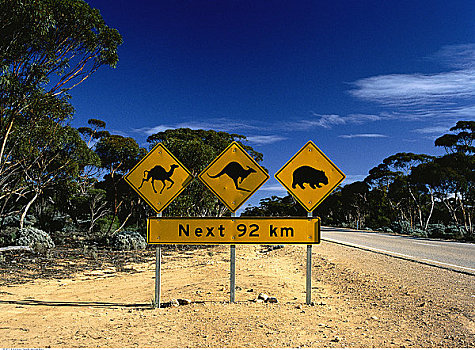 动物穿越,标识,靠近,道路,朴素,澳大利亚