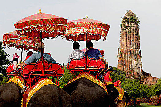 后面,旅游,骑,大象,大城府,泰国