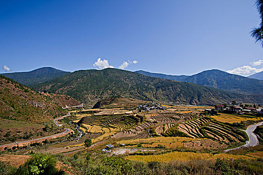 风景,山谷,不丹