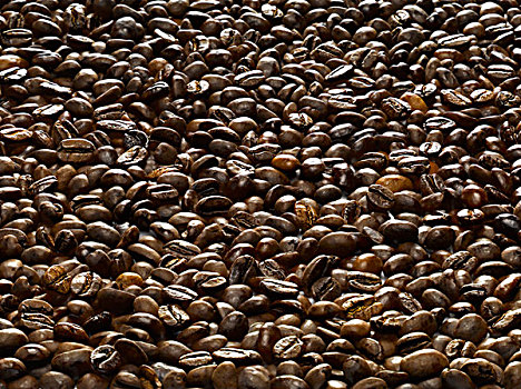 床,咖啡豆