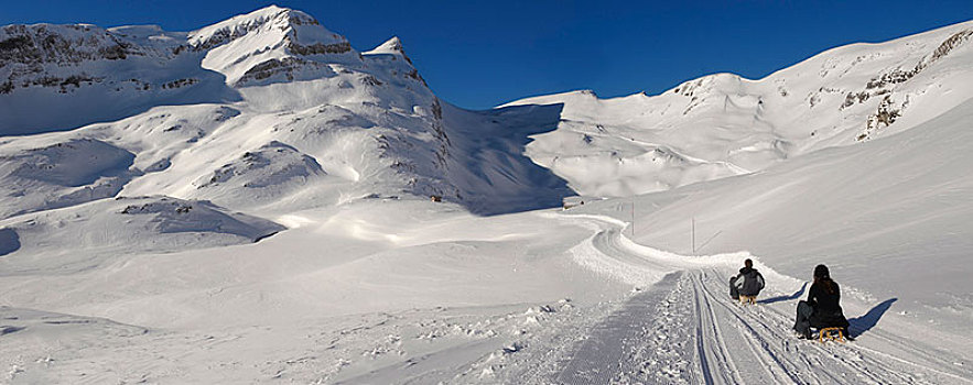 雪中,山,靠近,格林德威尔,第一,阿尔卑斯山,瑞士,欧洲