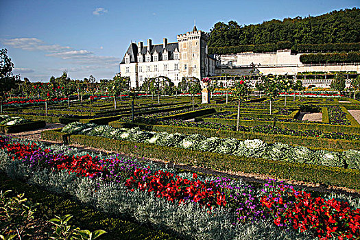 法国,中心,卢瓦尔河,维朗德里城堡,菜园