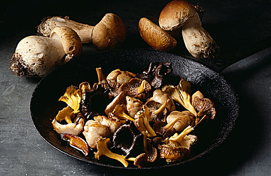 蘑菇,炖重汁肉丁