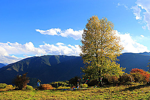 高山光与影