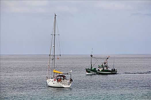 帆船,富埃特文图拉岛,加纳利群岛