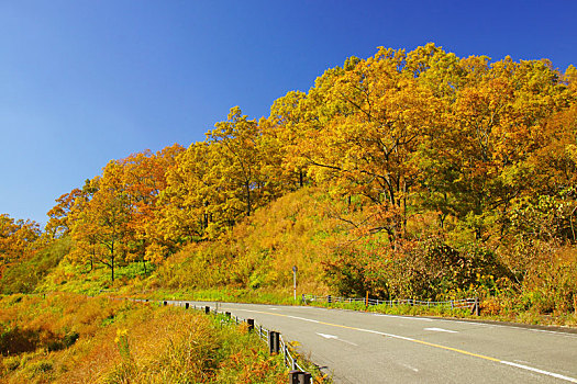 山谷,熊本,日本