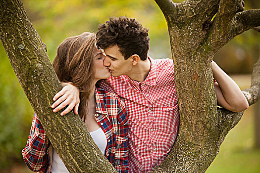 年轻,情侣,吻,树上,公园