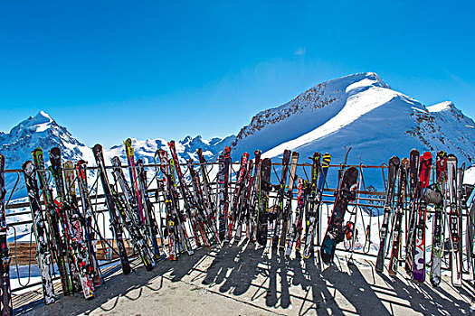 滑雪,排列,面对,山,冬天,滑雪胜地,阿尔卑斯山,恩加丁,瑞士,欧洲