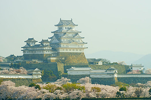 姬路城堡,春天,兵库,日本