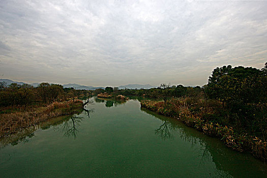 秋天杭州西溪湿地里的河道