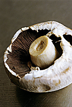 双孢蘑菇,特写