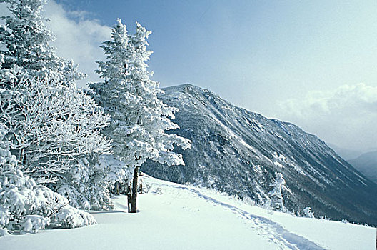 美国,小路,山,背景,白色