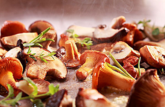蘑菇,油炸,锅