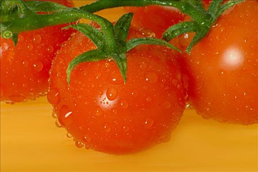 西红柿,水滴