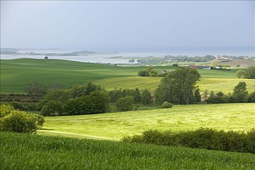 农业,风景,日德兰半岛,丹麦