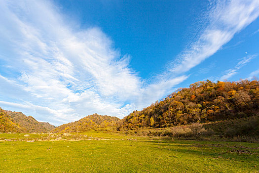 留坝狮子沟牧场