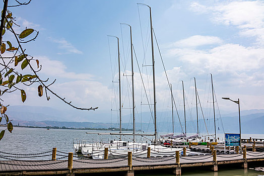 四川省凉山邛海观鸟岛湿地公园