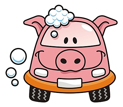 洗车,猪