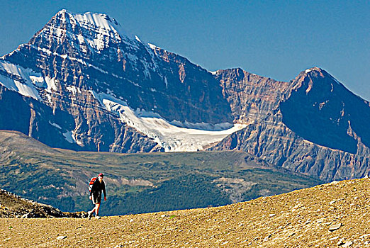 女人,远足,攀升,背景,碧玉国家公园,艾伯塔省,加拿大