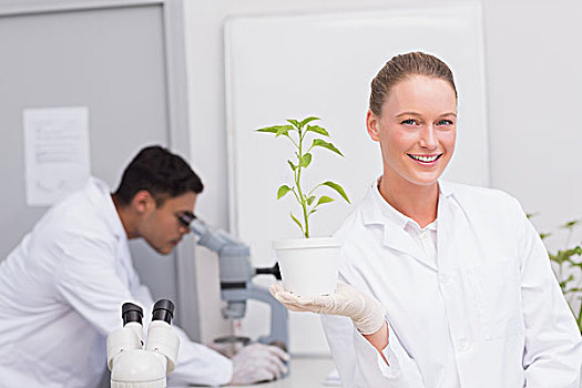 高兴,科学家,看镜头,微笑,展示,植物