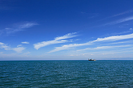 青海湖风光