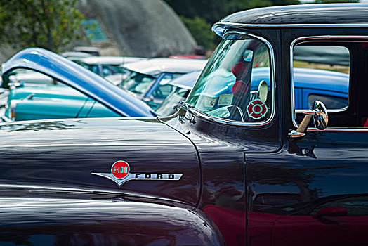 美国,马萨诸塞,古董车,展示,20世纪50年代,福特汽车,皮卡