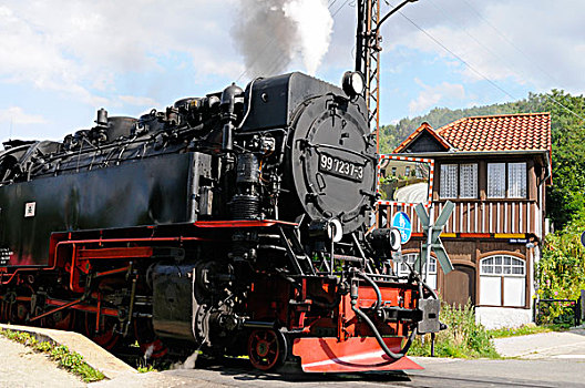蒸汽,列车,韦尼格罗德,萨克森安哈尔特,德国,欧洲