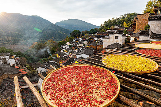 中国江西婺源篁岭村秋季晒秋景观