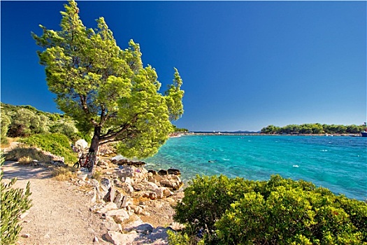 自然风光,青绿色,海滩,克罗地亚