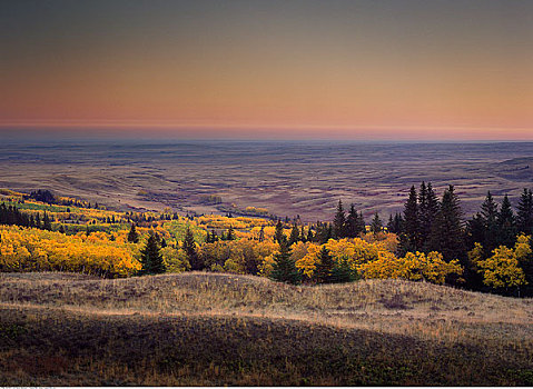 秋天,景色,柏树山省立公园,艾伯塔省,加拿大