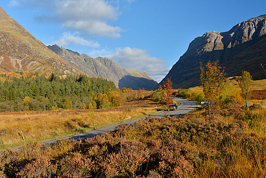 道路,秋天,山谷,苏格兰高地,苏格兰,英国,欧洲