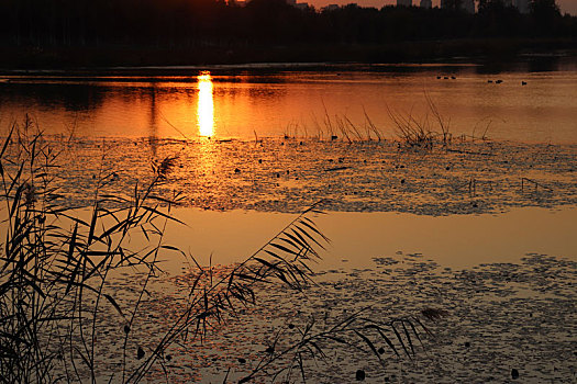 夕阳湖面