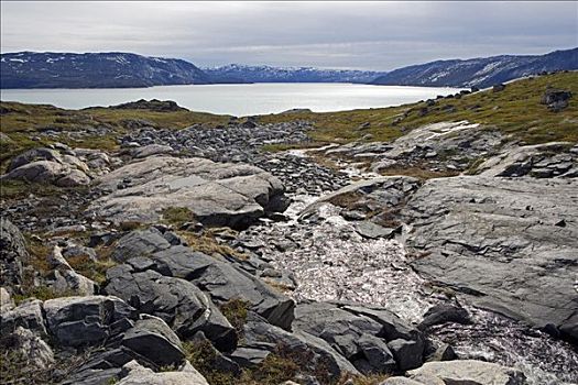 格陵兰,冰河,后视,泻湖,正面,围绕,山