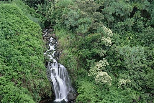 瀑布,异域风情,雨林,植被,河谷,夏威夷