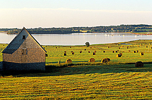 谷仓,大捆,干草,堤道,爱德华王子岛,加拿大