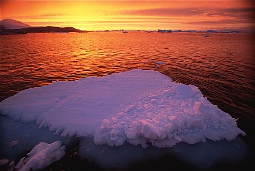 日落,浮冰,南极半岛