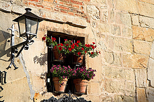 窗户,花盆,乡村,桑蒂亚纳德尔玛卢,坎塔布里亚,西班牙