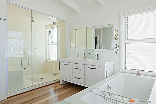白色,现代,浴室,家,展示,室内