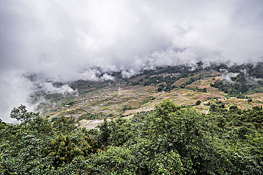 撒玛坝梯田