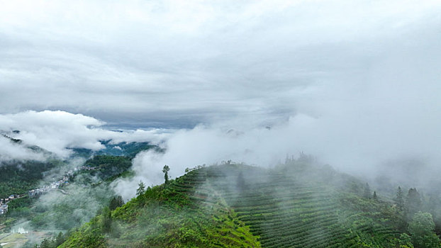 重庆酉阳雨后清晨乡村雾气弥漫如仙境