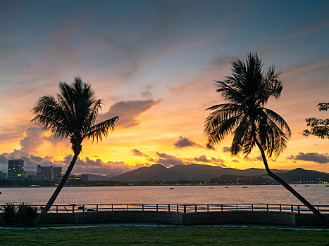三亚大东海风景区日出天空云景海平面椰子树