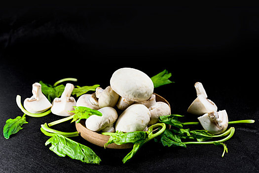 新鲜,蘑菇,蔬菜,黑色背景